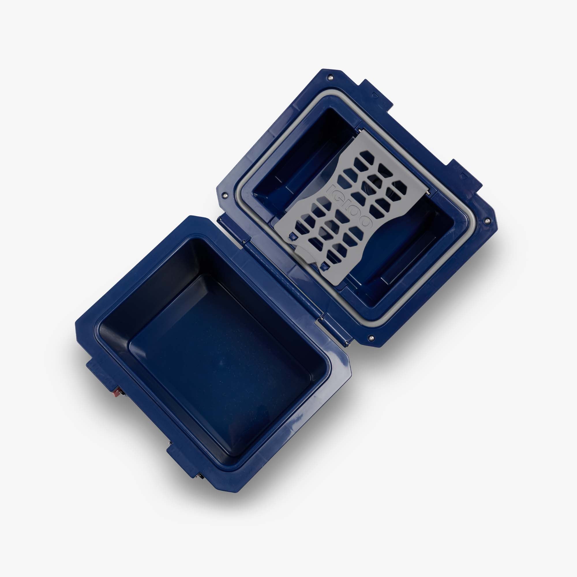 00033251-O2.jpg